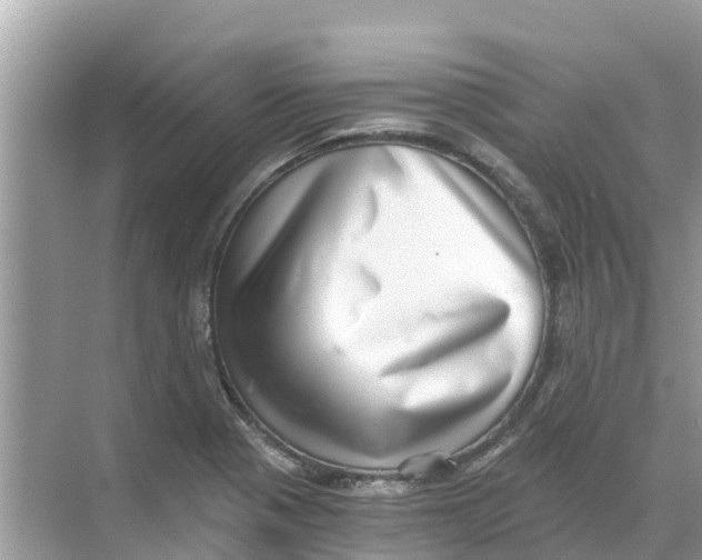 X0000068301321200605121954