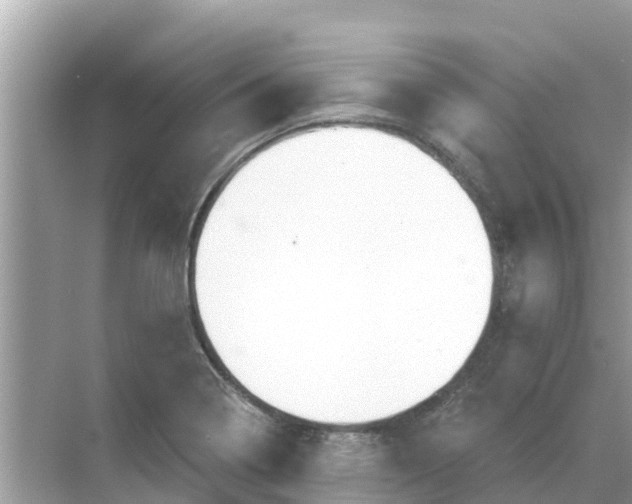 X0000068301322200605121954