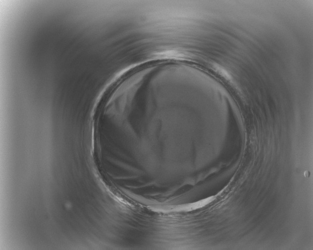 X0000068301323200605121954