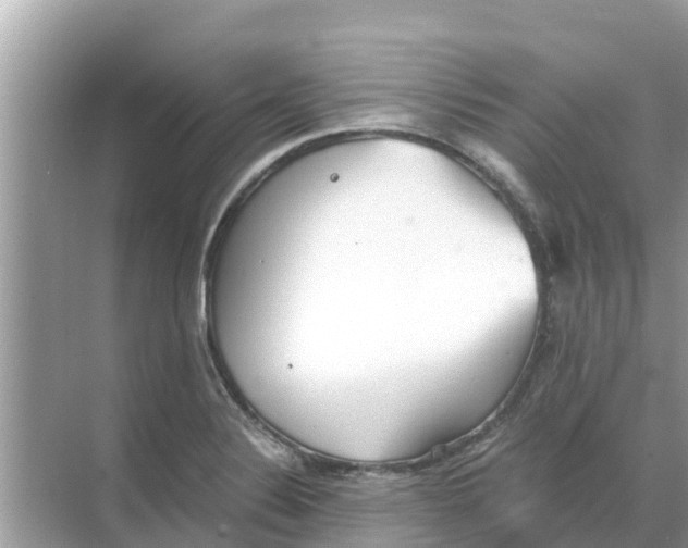 X0000068301324200605121954