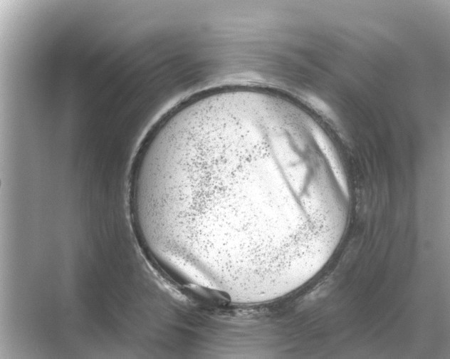 X0000068301326200605121954