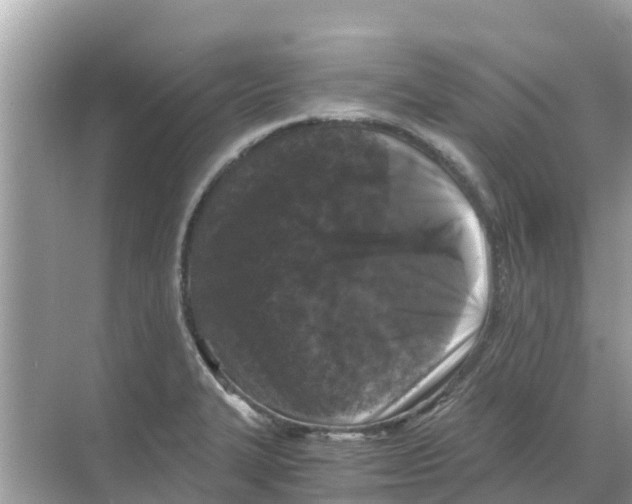 X0000068301327200605121954