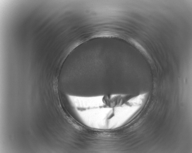 X0000068301329200605121954