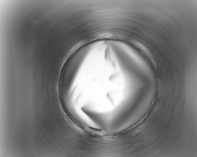 X0000068301330200605121954