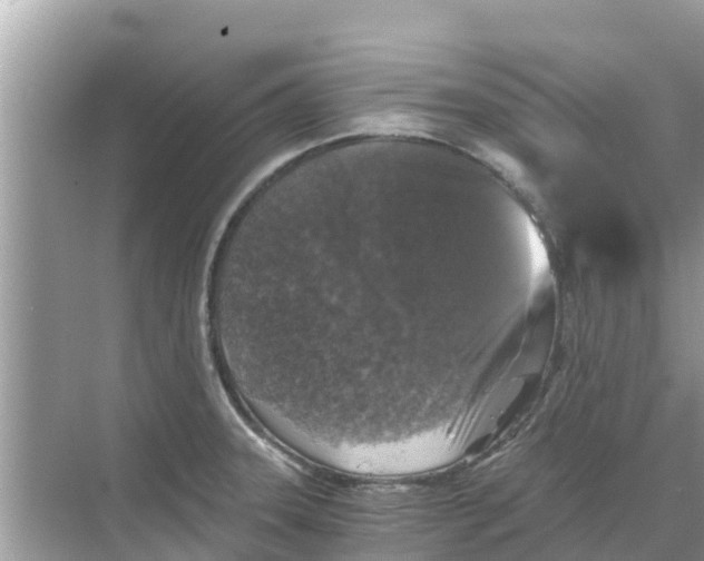 X0000068301331200605121954