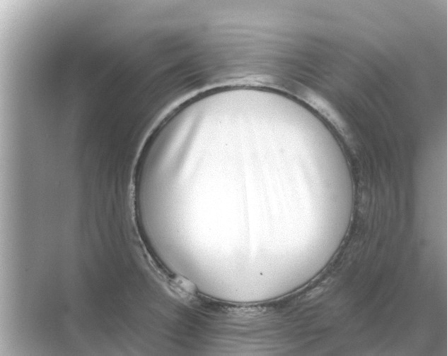 X0000068301332200605121954