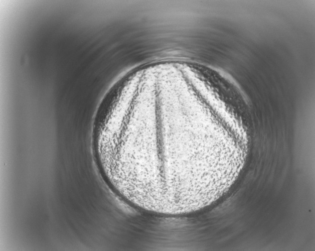 X0000068301333200605121954