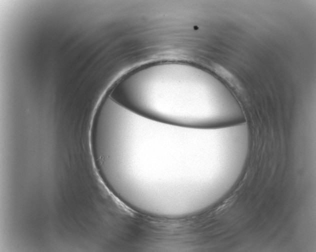 X0000068301334200605121954