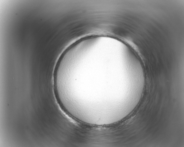 X0000068301335200605121954