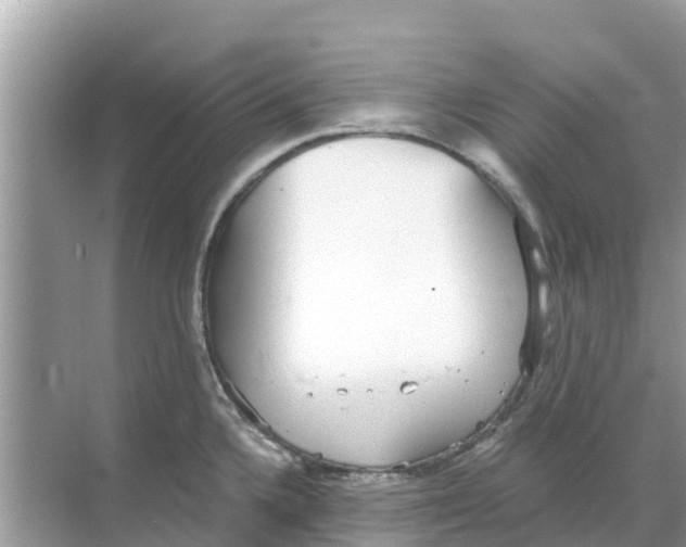 X0000068301336200605121954