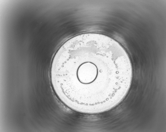 X0000068301338200605121954