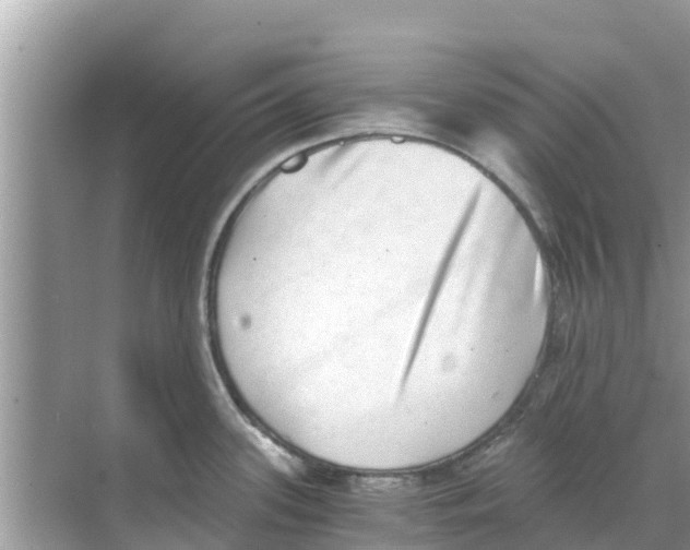 X0000068301339200605121954