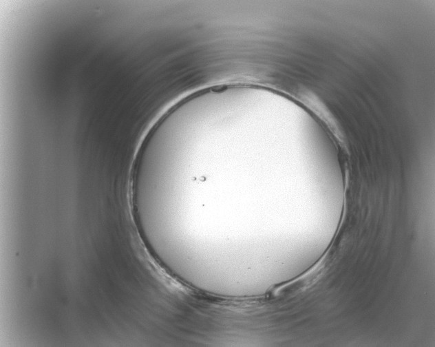 X0000068301340200605121954