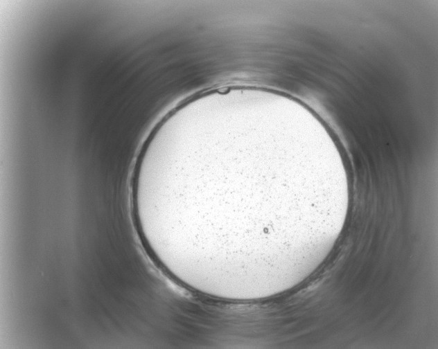 X0000068301341200605121954