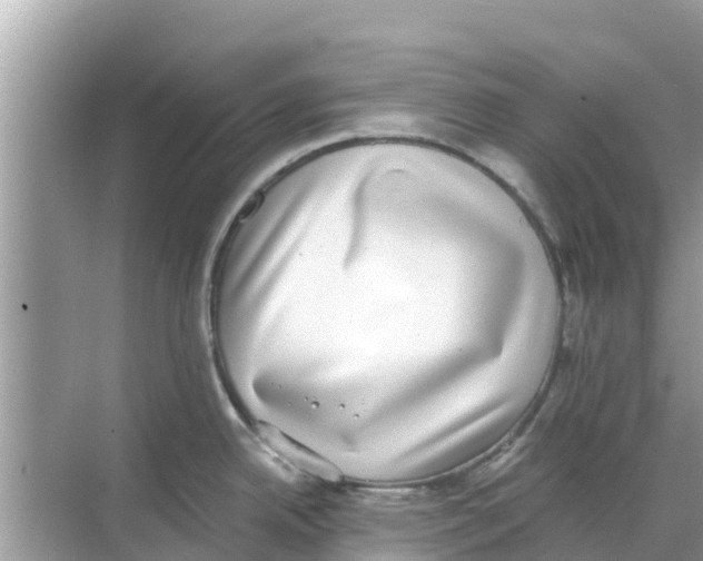 X0000068301342200605121954