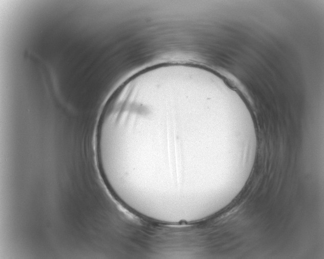 X0000068301343200605121954