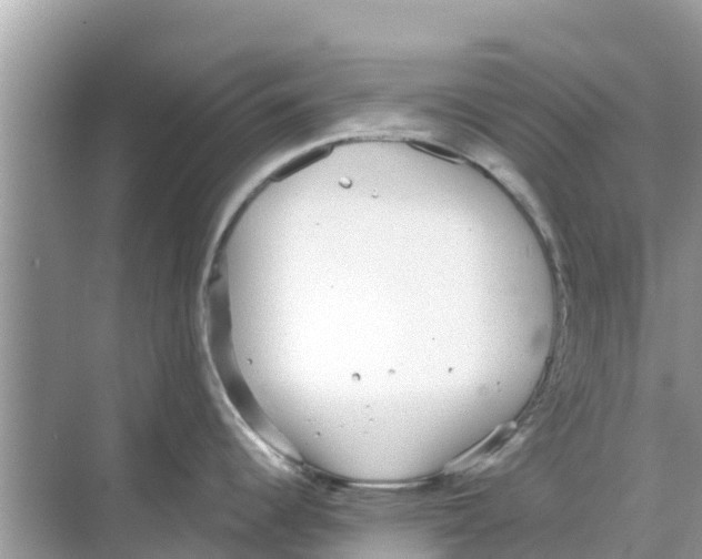 X0000068301344200605121954