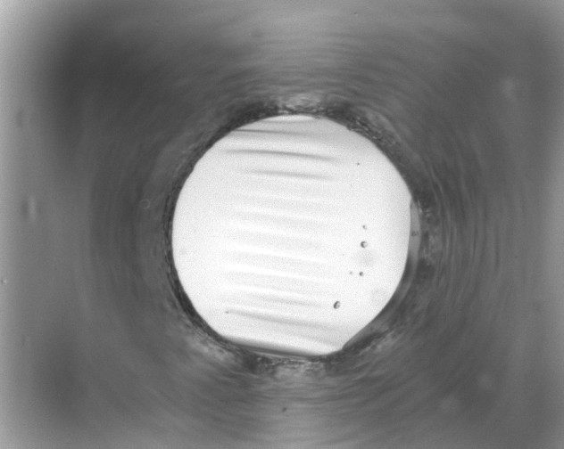 X0000068301345200605121953