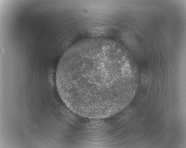 X0000068301346200605121953