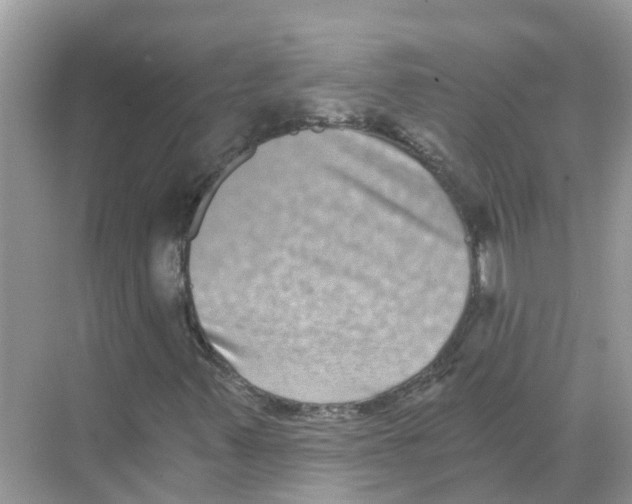 X0000068301347200605121953