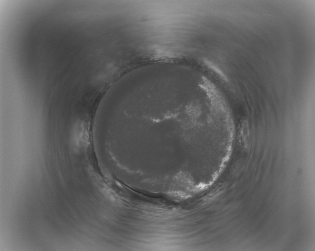 X0000068301348200605121953