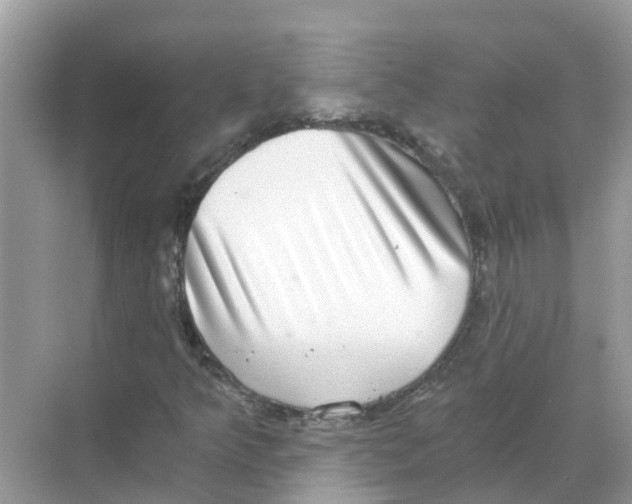 X0000068301349200605121953