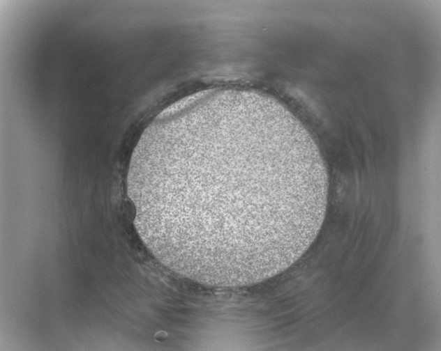 X0000068301350200605121953