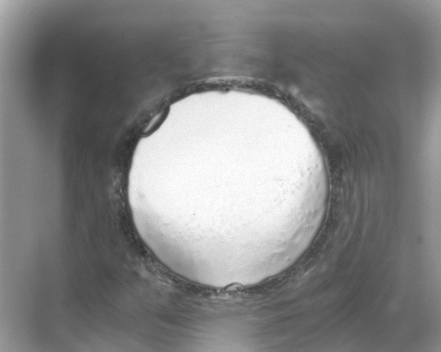 X0000068301351200605121953