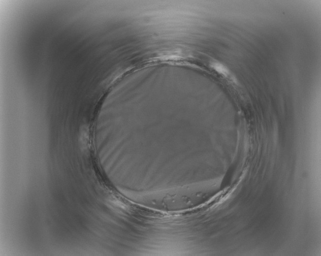 X0000068301353200605121953