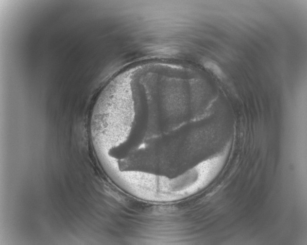 X0000068301354200605121953