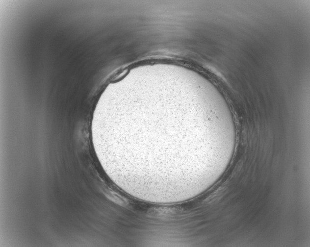 X0000068301355200605121953