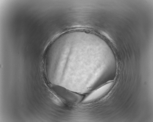 X0000068301357200605121953