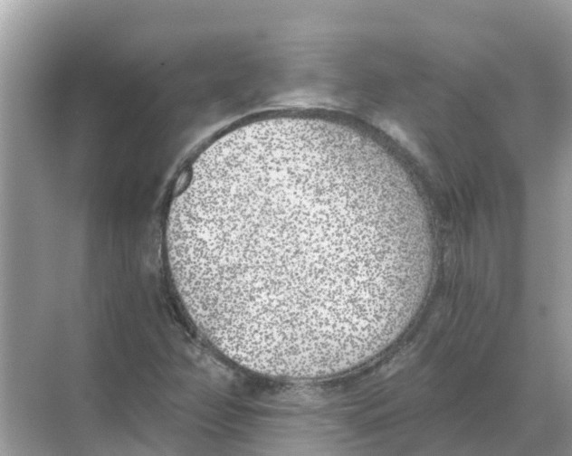 X0000068301358200605121953