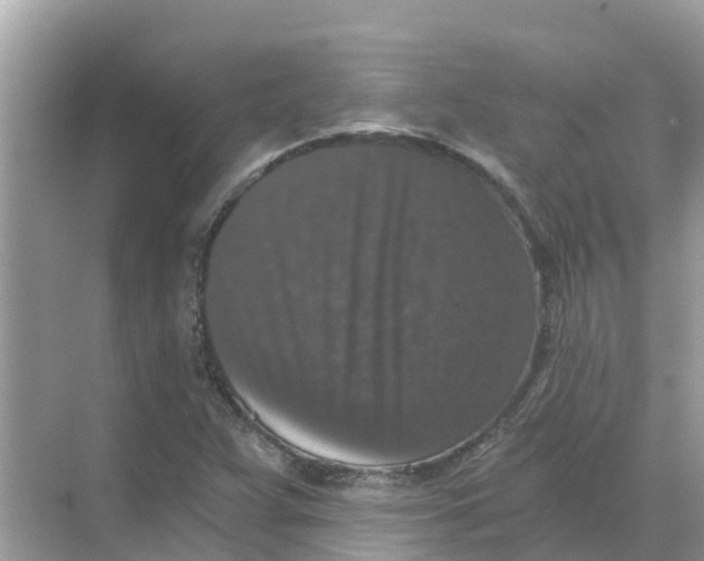 X0000068301359200605121953