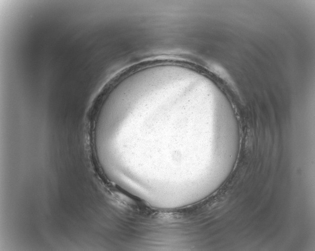 X0000068301360200605121953