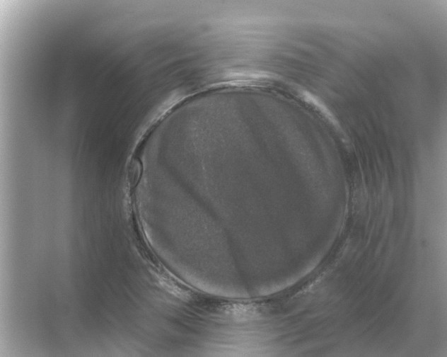 X0000068301362200605121953