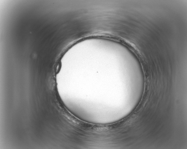 X0000068301363200605121953