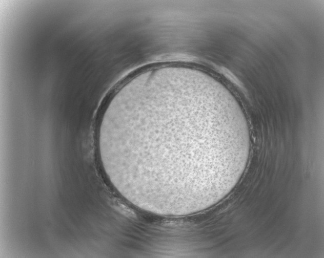 X0000068301364200605121953