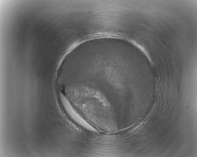 X0000068301365200605121953