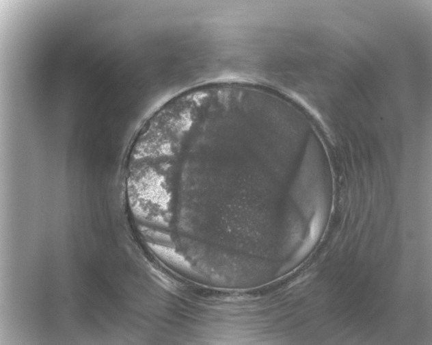 X0000068301367200605121953