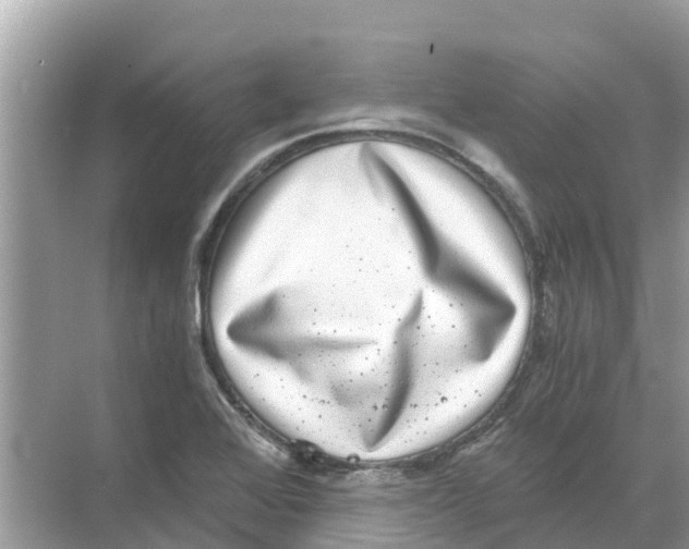 X0000068301368200605121953