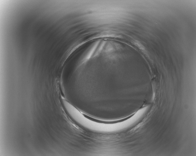 X0000068301369200605121953