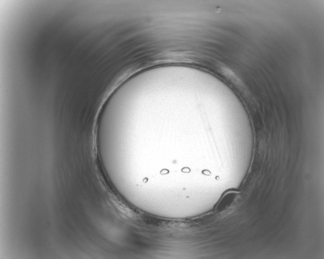 X0000068301370200605121953