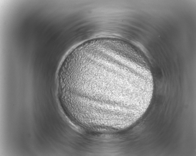 X0000068301371200605121953