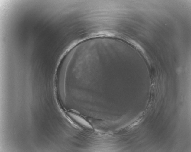 X0000068301373200605121953