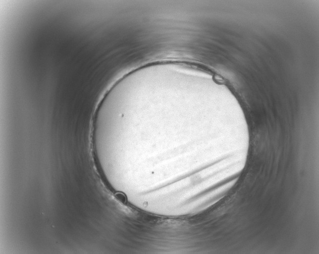 X0000068301374200605121953