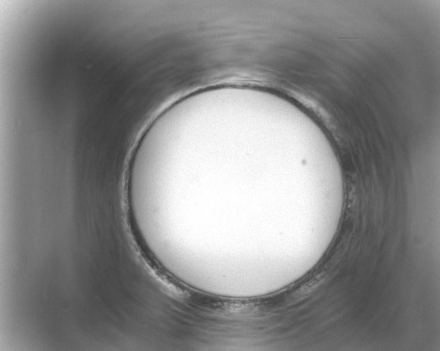 X0000068301375200605121953