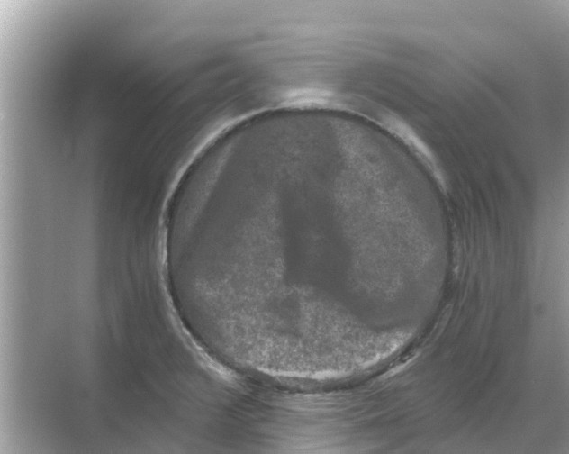 X0000068301376200605121953