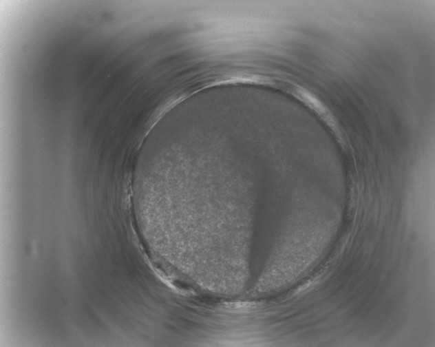 X0000068301377200605121953