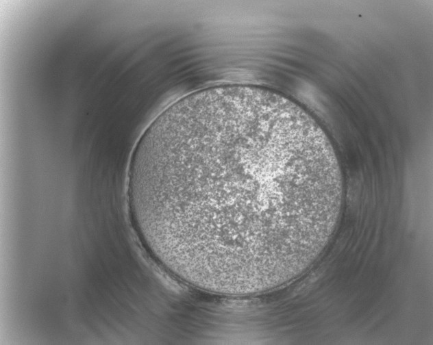 X0000068301378200605121953